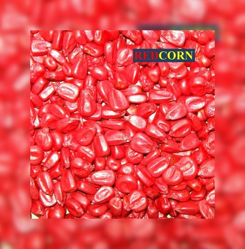 Фарба для насіння червона REDCORN 10 л