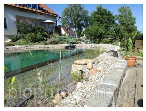 Басейн., фото 1