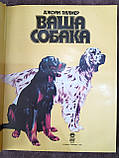 Книга Ваш собака. Практичний посібник з вибору та догляду за собакою, фото 3