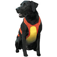 Coastal for Hunting Dogs Chest Protector НАГРУДНАЯ ЗАЩИТА для охотничьих собак Оранжевый