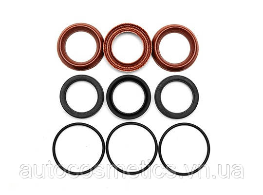 Ремкомплект манжет ANNOVI REVERBERI KIT A1888 d22 серії RK та XR