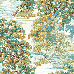 Шпалери Ancient Canopy Arboretum Wallpapers Sanderson