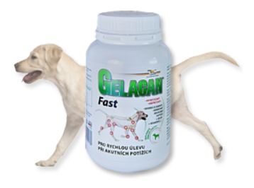 Добавка при гостих болях опорно-рухового апарату собак Гелакан Фаст | Gelacan Fast 150 грам