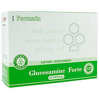 Glucosamine Forte Santegra