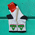 Шкарпетки жіночі демісезонні Патрік 36-40 зелені, фото 3