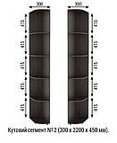 Шафа-купе кутова з кутовим елементами  Шафи-купе різних розмірів 900-3500 мм. Шафа для дому, фото 6