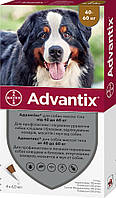 Краплі Advantix Bayer від бліх та кліщів для собак вагою 40 - 60 кг, 4 піпетки по 6 мл.