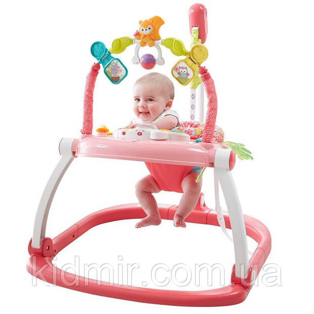 Fisher Price DKT02 Прыгунки кресло-прыгунки Конфети - фото 2 - id-p1846936682