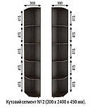 Шафа-купе кутова комбінована з кутовим елементом Шафа для дому різних розмірів 900-3500 мм., фото 5