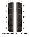 Шафа-купе кутова комбінована з кутовим елементом Шафа для дому різних розмірів 900-3500 мм., фото 8