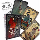 Dark Wood Tarot — Таро Темного Лісу Саша Грехем, фото 3