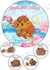 Вафельна картинка для кондитерских виробів Жіноча (Для мами) (листок А4)