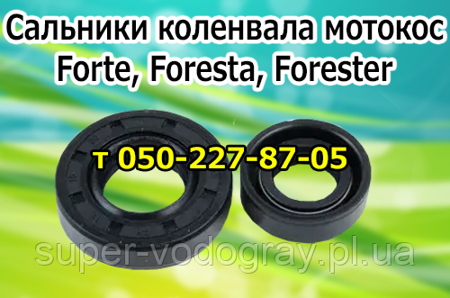 Сальники коленвала для бензокосы Forte, Foresta, Forester
