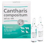 Кантаріс Композитум Хеель Cantharis Compositum Heel підтримка нирок і сечостатевої системи, 1 ампула 5 мл