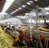 Зволоження повітря на вулиці, на балконі — система туманоутворення для альтанки, кафе стрічка на 11 розпилювачів, фото 3