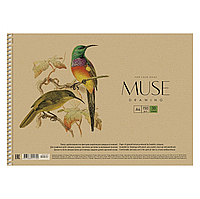 Альбом для малювання MUSE ШКОЛЯРИК (А4, 30 ар, 150 г/м2, спіраль, ПТАШКИ-4) PВ-SC-030-310