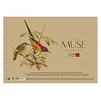 Альбом для рисования MUSE ШКОЛЯРИК (А4, 30 л, 150 г/м2, спираль, ПТИЧКИ-5) PВ-SC-030-310