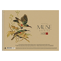 Альбом для малювання MUSE ШКОЛЯРИК (А4, 30 ар, 150 г/м2, спіраль, ПТАШКИ-6) PВ-SC-030-310