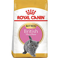 Сухой корм для котят Royal Canin Kitten British Shorthair 400 г (3182550816526) (2566004)