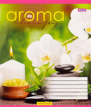 Зошит 96 аркушів у лінійку 1 Вересня Арома 677838