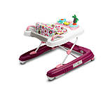 Дитячі ходунки 2 в 1 Caretero (Toyz) Surf, фото 7