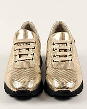Кросівки жіночі Evromoda 240356 37 золотисті 36, фото 2