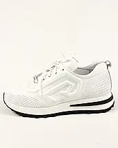 Кросівки перфоровані Evromoda 973050 36 білі, фото 2