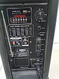 Портативна акустика колонка Б/У Temeisheng DP 297 L, фото 7