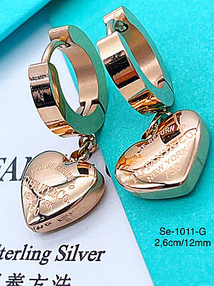 Сережки Stainlees Steel, фото 1
