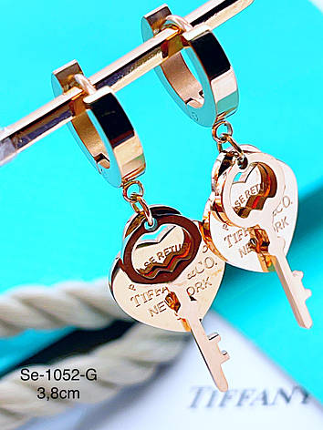 Сережки Stainlees Steel, фото 1