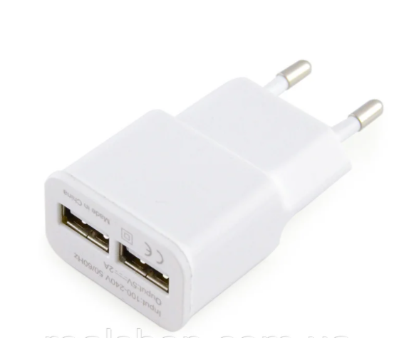 cid2954927_pid1059573877-7b5fef27.png