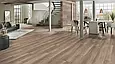 Ламінат Kronostep XL 7240 Дуб Холда (Holda Oak), фото 9