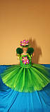 Карнавальний костюм для дівчинки Латаття, Водяна Лілія, Жабка, фото 5