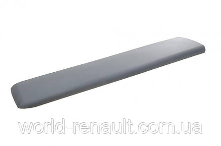 ROTWEISS RWS1159 — Молдинг передні правих дверей на Renault Trafic 2, Opel Vivaro A, Primastar (2001-2014), фото 1