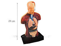 Дитячий ігровий набір Анатомічна модель людського тіла 377297