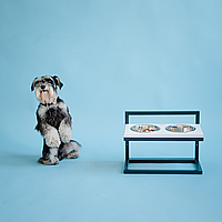 Подставка с мисками для собак регулируемая, металлические миски для собак на деревянной подставке WhiteW/Black