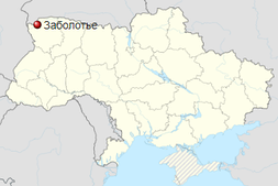 Заболоття