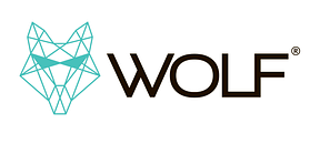 ЛІХТАРІ ЛАМПИ WOLF