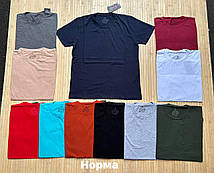 Футболки чоловічі однотонні (М-XXXL) Туреччина гуртом купити від складу 7 км Одеса