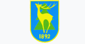 Маневичі