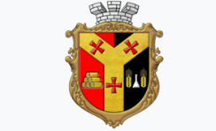 Рокині
