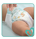 Підгузки Pampers Active Baby 5 (11-16 кг) на 84 шт, фото 3
