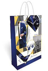 Пакет подарунковий 24 х 36,5 см. "Чоловічий" 31.108