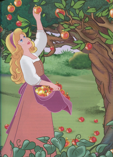 Product image preview