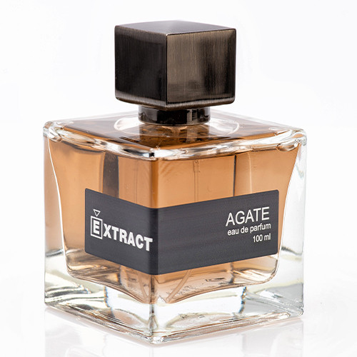 Парфумована вода для чоловіків Extract Agate Парфумована вода 100 ml Original (Чоловіча Парфумерія Екстракт Агат)