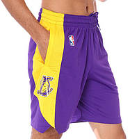 Шорти баскетбольні чоловічі Nike NBA Los Angeles Lakers Practice Shorts (AJ5077-504)