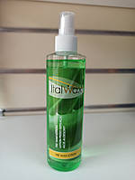 Лосьйон до депіляції алое Ital Wax Pre Wax Lotion 250 мл
