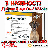 Simparica (Симпарика) Таблетки от блох и клещей для собак весом 40 60 кг (1 упаковка) Сімпаріка