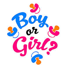 Наліпка на вогнегасник - "Boy or girl?"