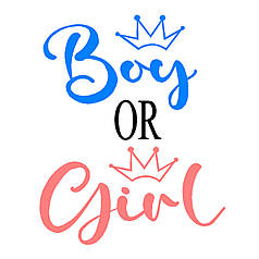 Наліпка на вогнегасник - "Boy or girl?"